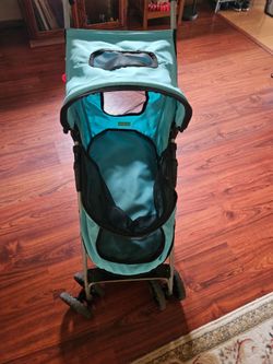 Doggy Stroller