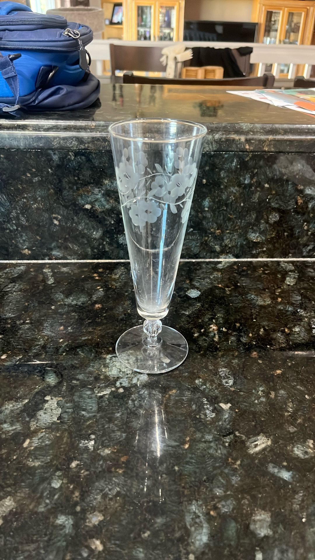Glass Pilsner Glasses