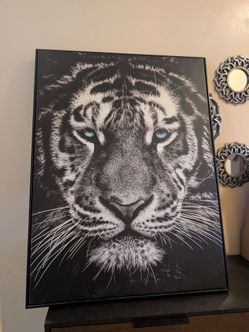 Tiger wall canvas,  31"x 41"