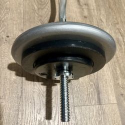 Curl Bar Standard With Pairs Of 25s 10s And 5 lbs  Total: 94 lbs