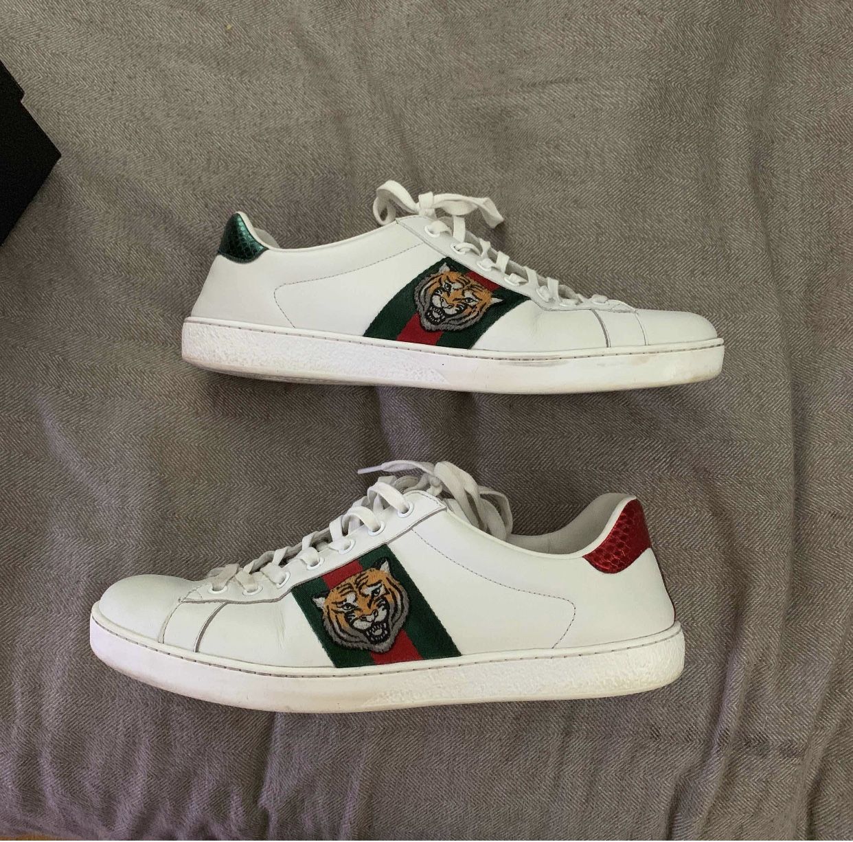 Gucci ace tiger shoes