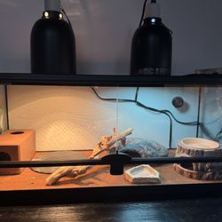 Reptile Tank