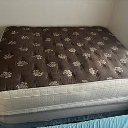 🩷🩷 $$345-comfy extra extra extra thick extra extra cushiony Queen Size brown n tan  colored lightly used mattress-    - I stock up on these from pur