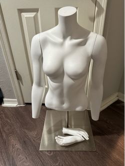Female Mannequin Upper Bust Detachable Arms Hands