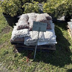 Red Polished Pebbles - Bag