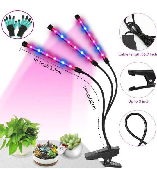 Grow Lights with Timer