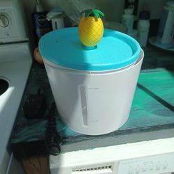 Automatic Cat Water Bowl