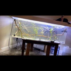 Acrylic Aquariums Fish Tanks