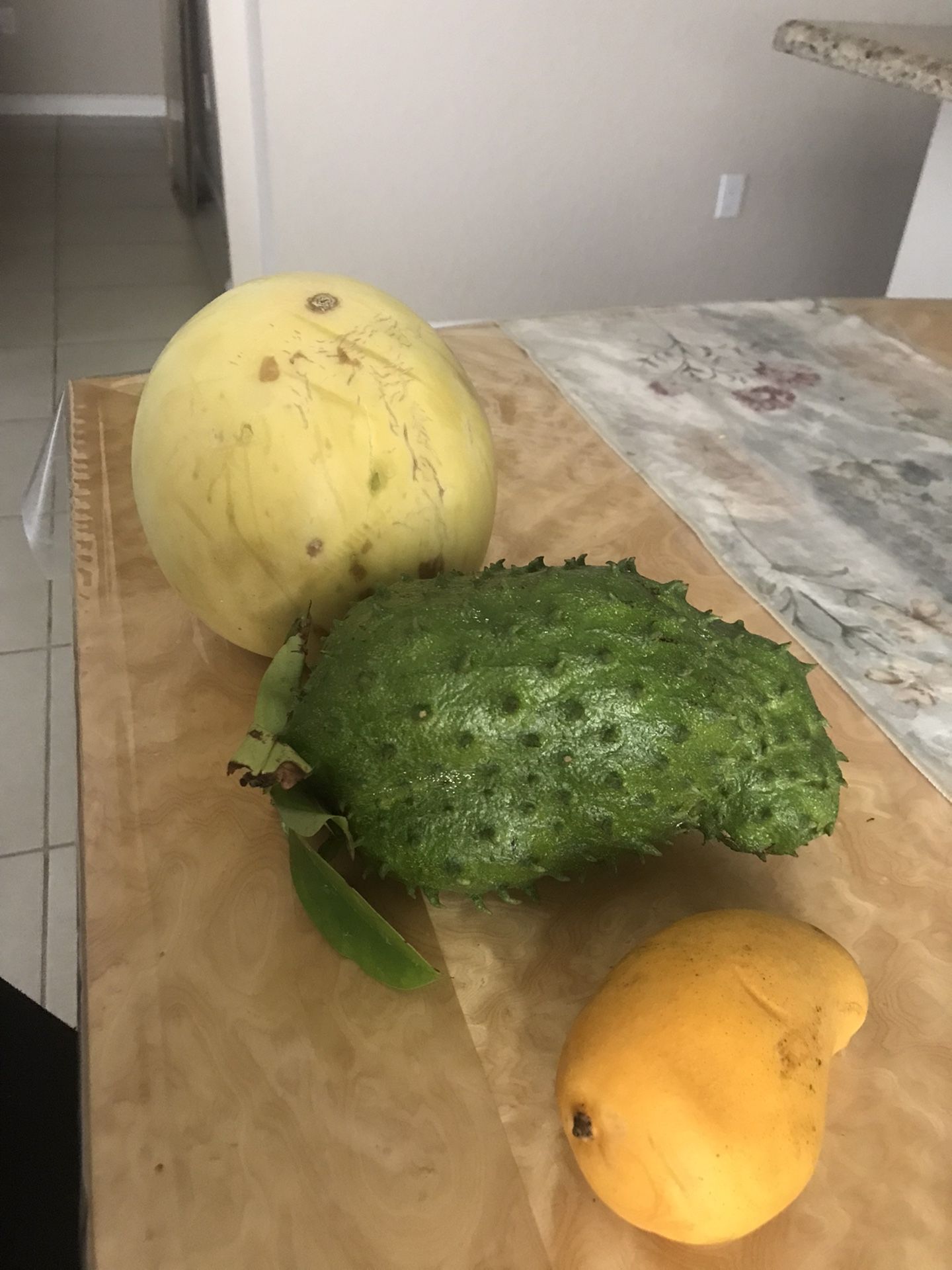 Soursop Tree