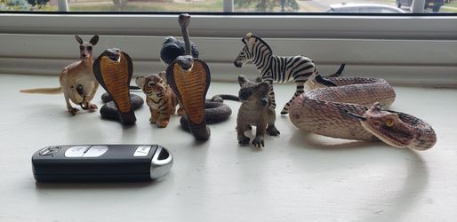 Safari Ltd Toys
