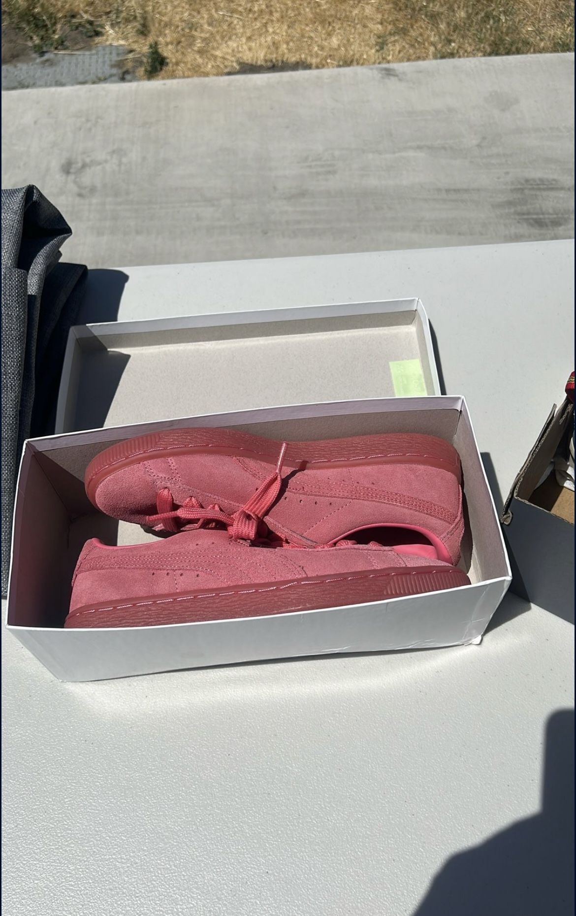 Pumas 