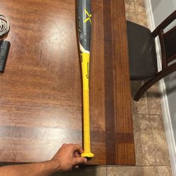 USA Easton Beast 