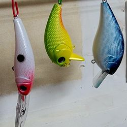 Fishing Lures 