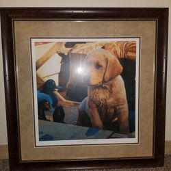 Limited Edition Foil Stamp Collection Ducks Unlimited