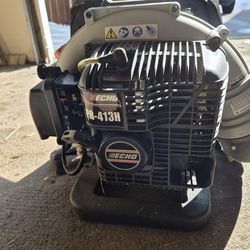 Echo leaf blower
