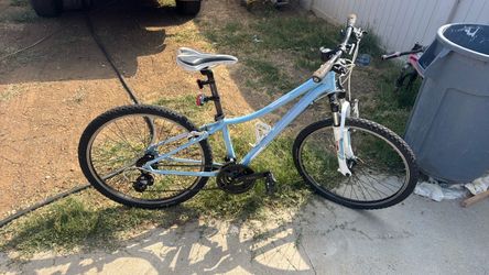 Trek bike