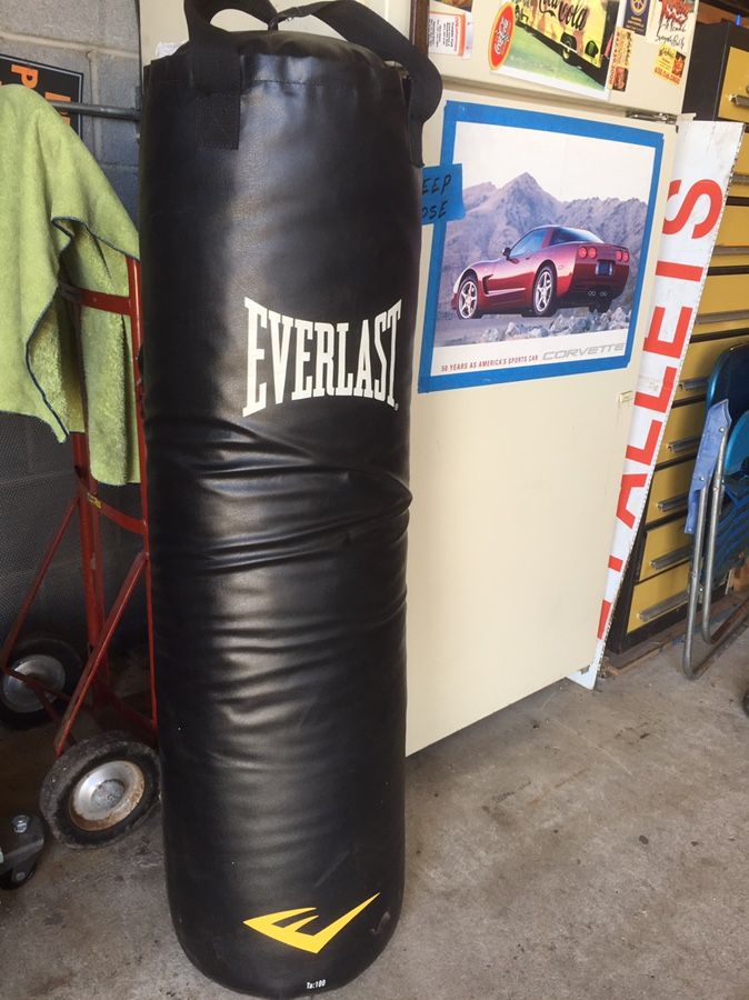 Everlast Ta: 100 lbs Heavy Punching Bag