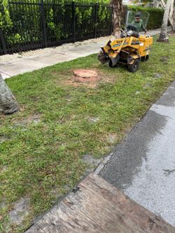 Stump Grinding molemos troncos y raises