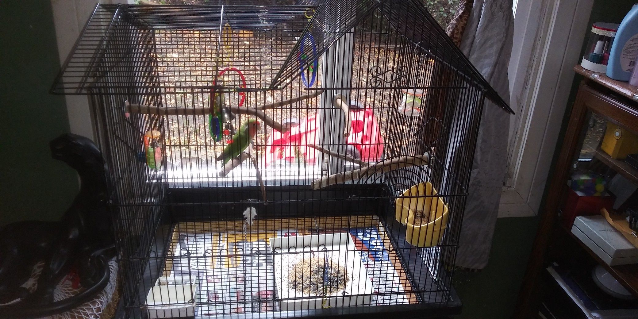 Bird cage