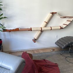 Barely Used Cat Playground