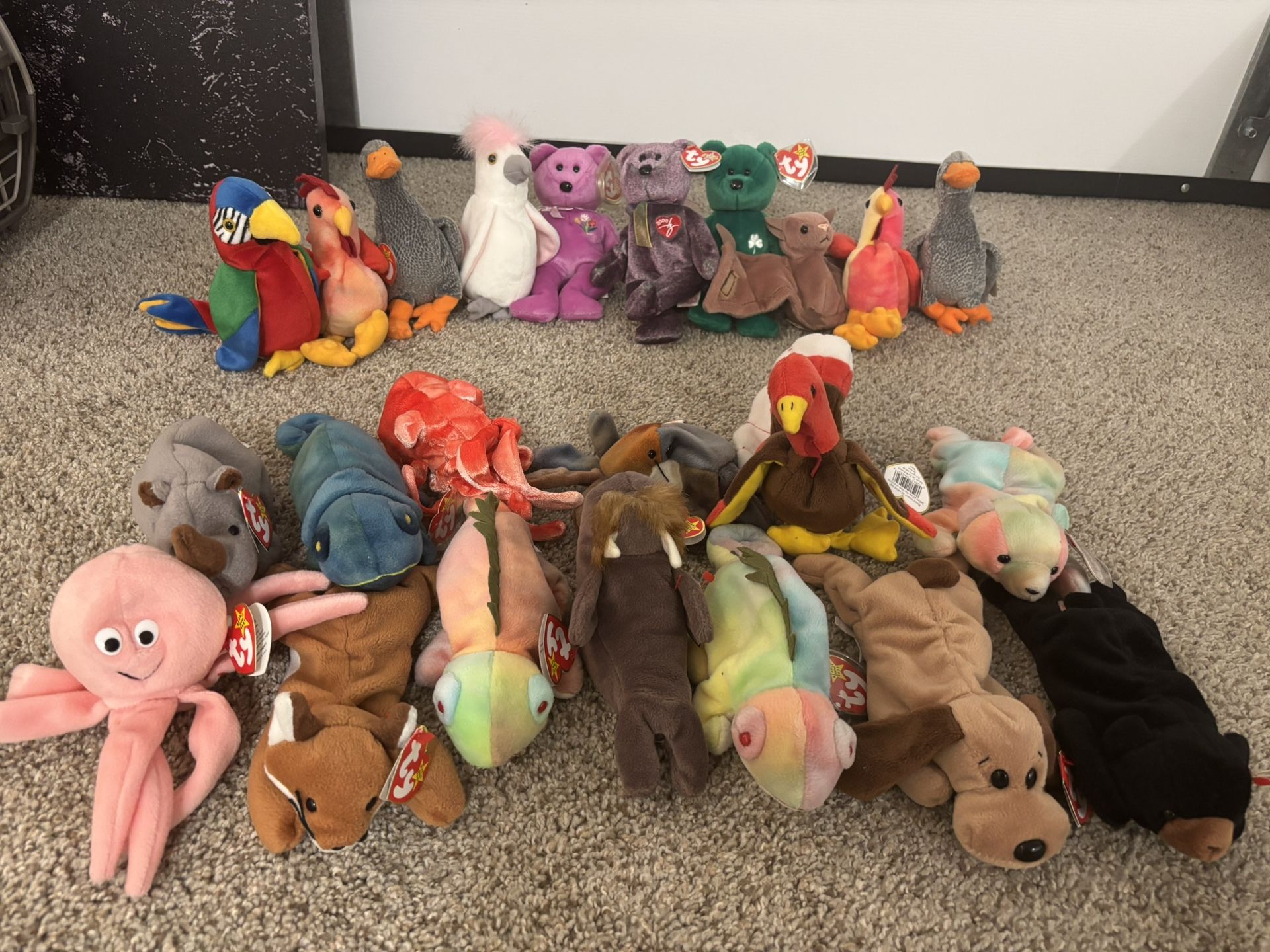 Beanie Baby Collection