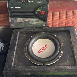 10 Inch Subwoofer 