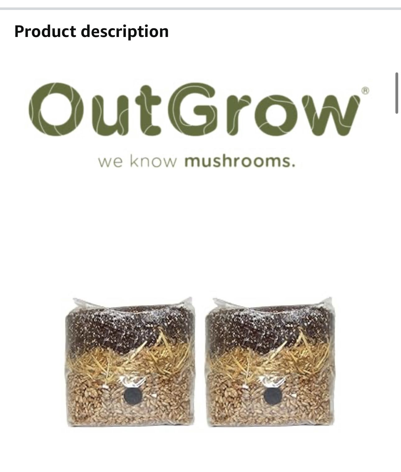 All in One Mushroom Grow Bag (2 Pack)