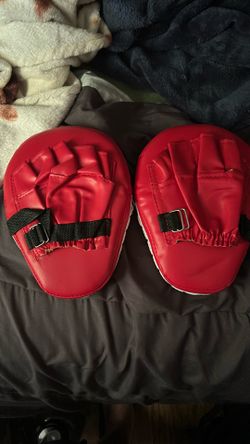 Boxing Pads