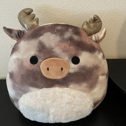 Squishmallow 