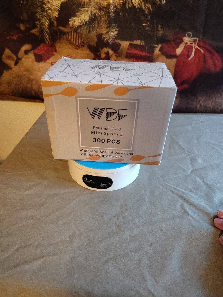 Disposable Mini Spoons