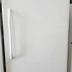 Frigidaire White Upright Freezer 21cf 