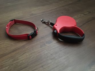 Dog collar and retractable leash