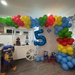 Balloon Garland/ backdrop