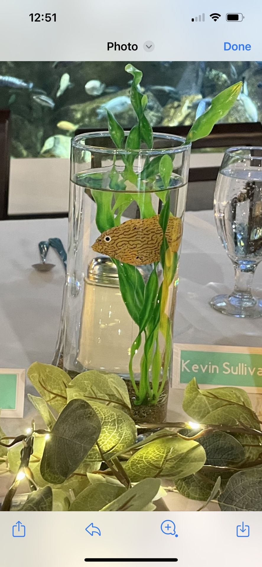Table Center Pieces.