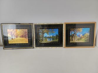 Nature Picture Frames 