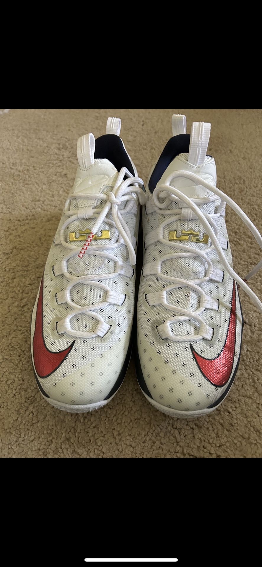 Lebron 13 Low Olympics