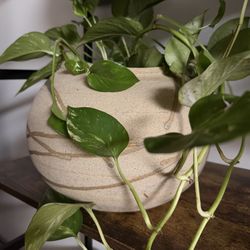 Handmade Ceramic Planter – Wabi-Sabi Stoneware | Neutral Earthy Decor