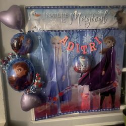 Frozen Elsa Anna Birthday Decor
