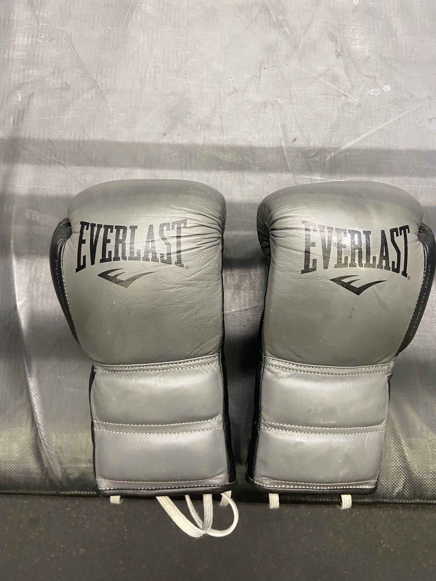 8 Oz Everlast Boxing Gloves