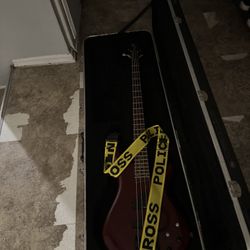 Bass Ibáñez