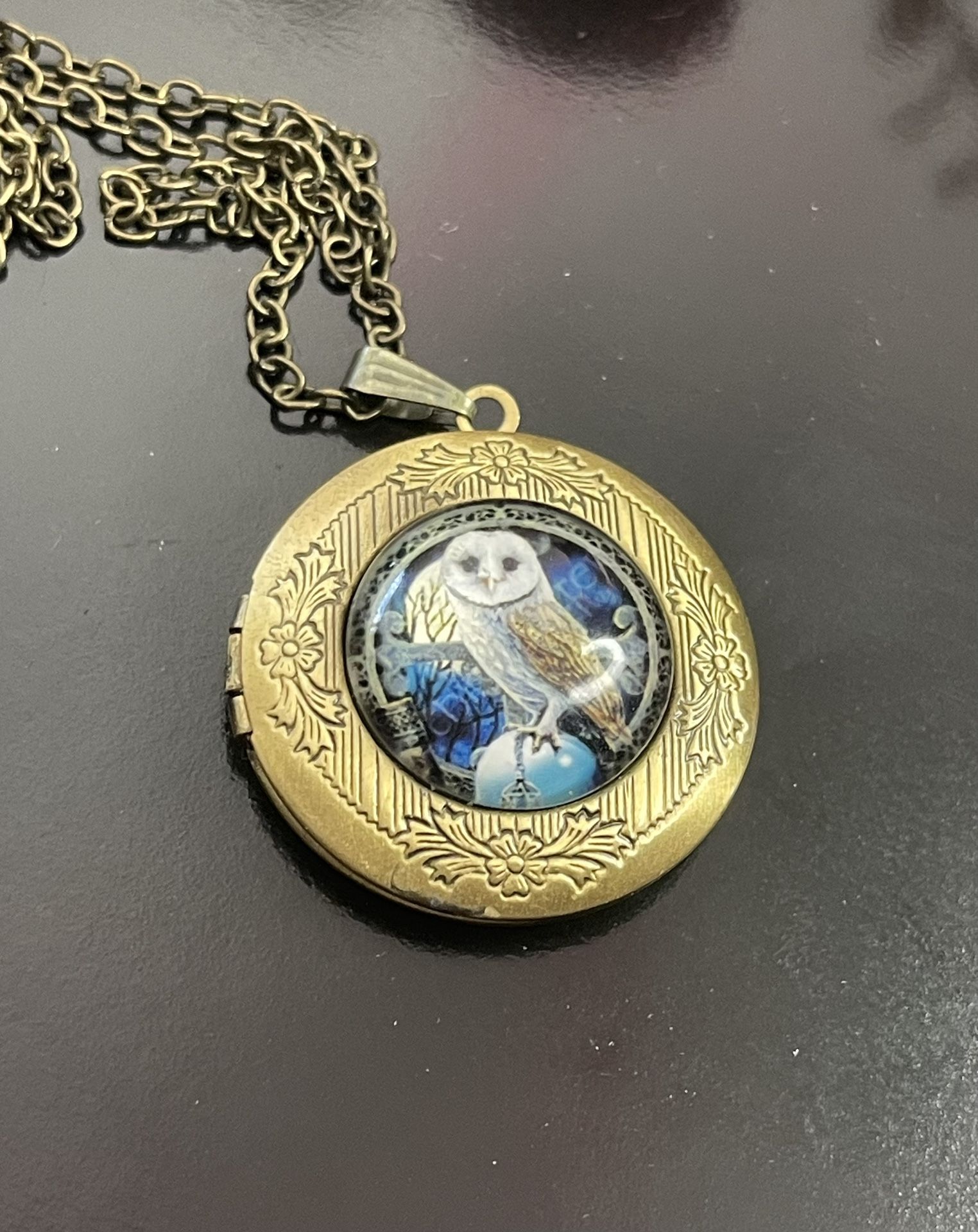 Owl Locket New 