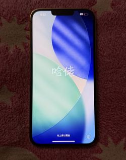 iPhone 13 Pro Max
