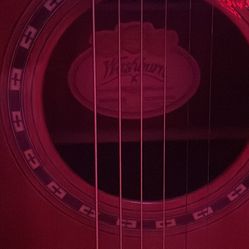 Washburn Acoustic