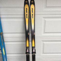 195 Olin Shape Apex T Downhill Skis 