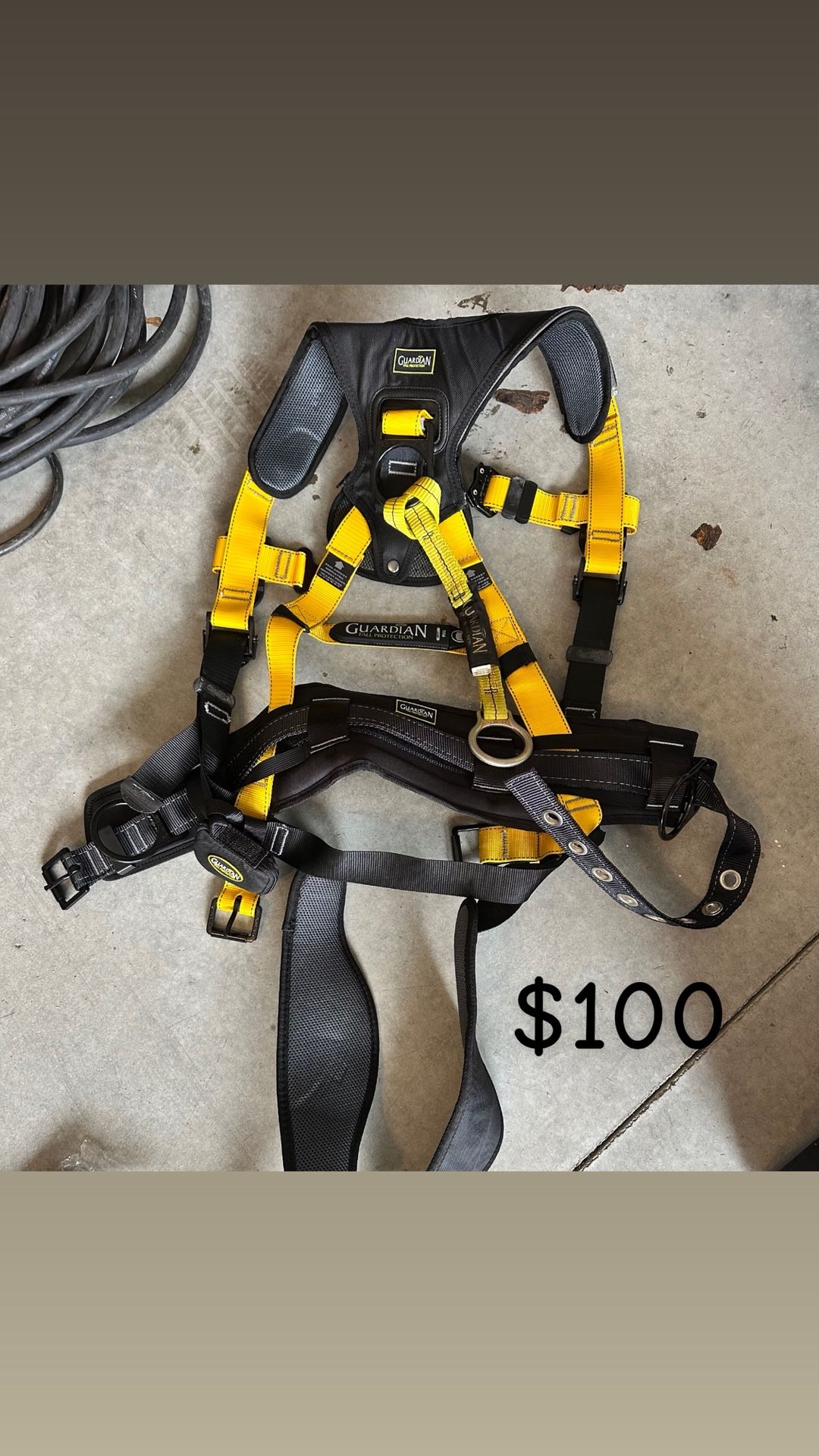 Harness