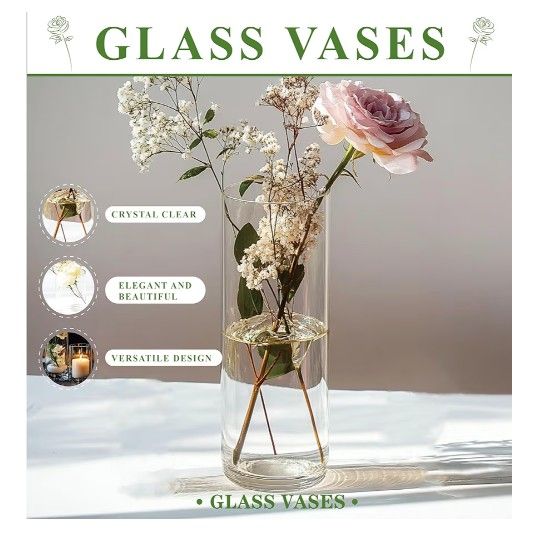NEW IN BOX! 60-Pack Cylinder Glass Vases (5 Assorted Heights) 🔥