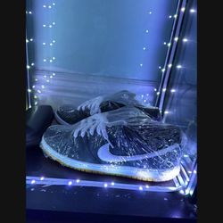 Nike Sb 