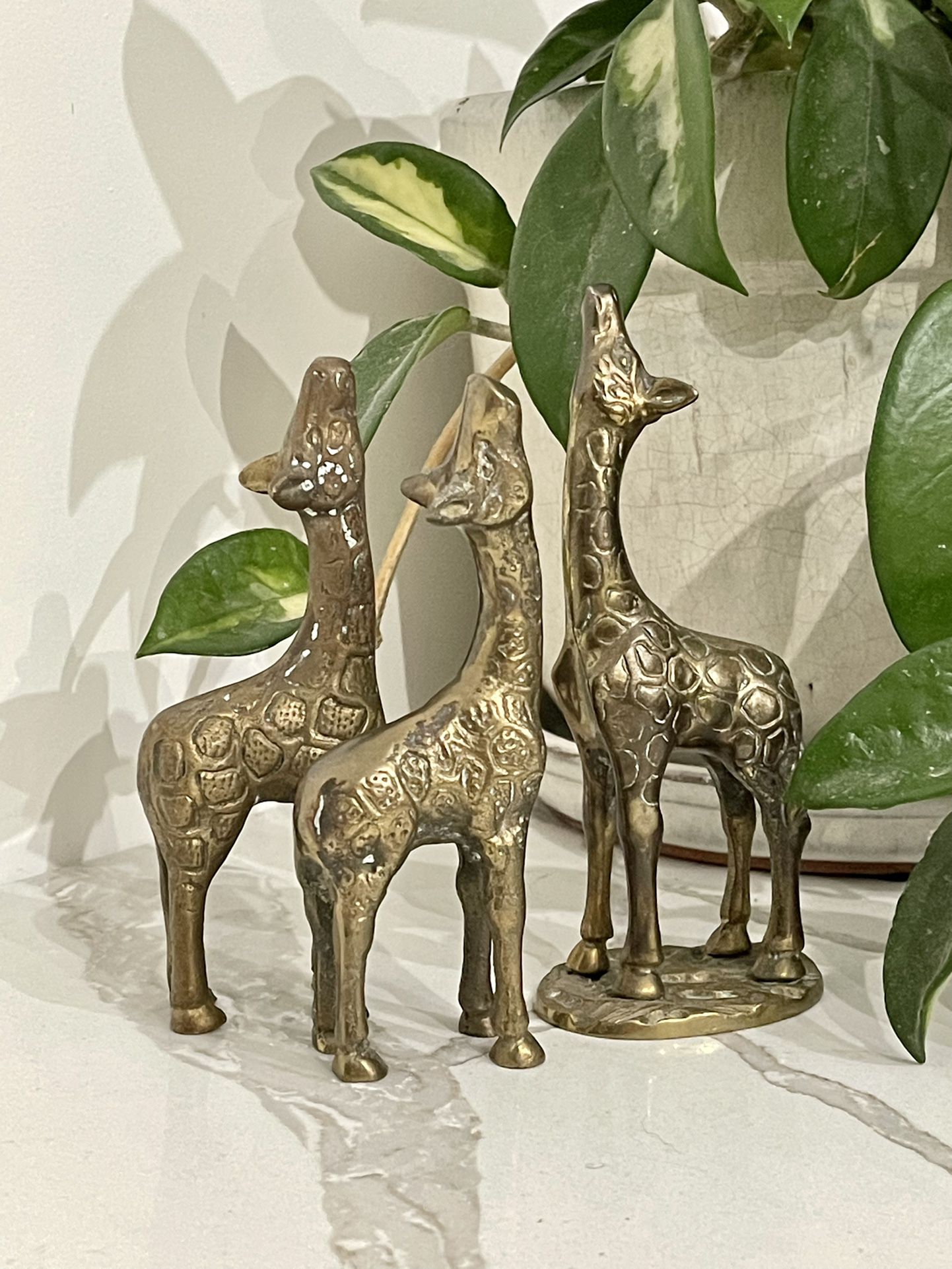 Brass Giraffe Statues 