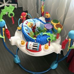 Baby Einstein Neighborhood Symphony Activity Jumper: Bugs, Birds Theme, Freestanding.