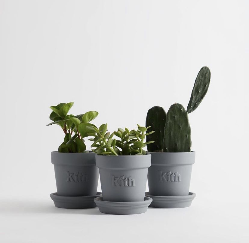 Kith-limited Edition planter for Sale in Queens, NY - OfferUp